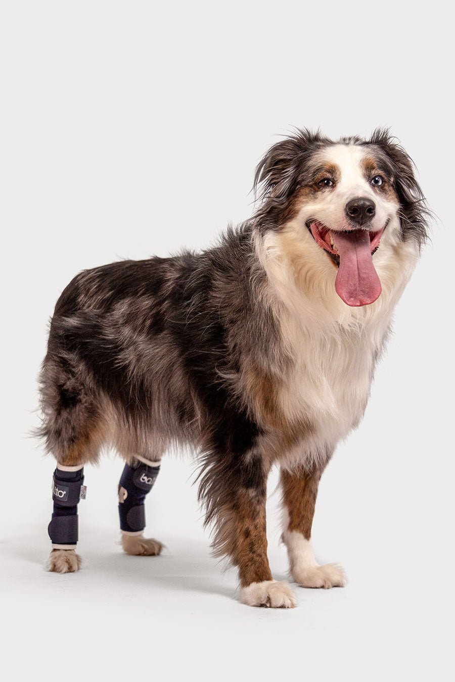 Dual Hock Brace