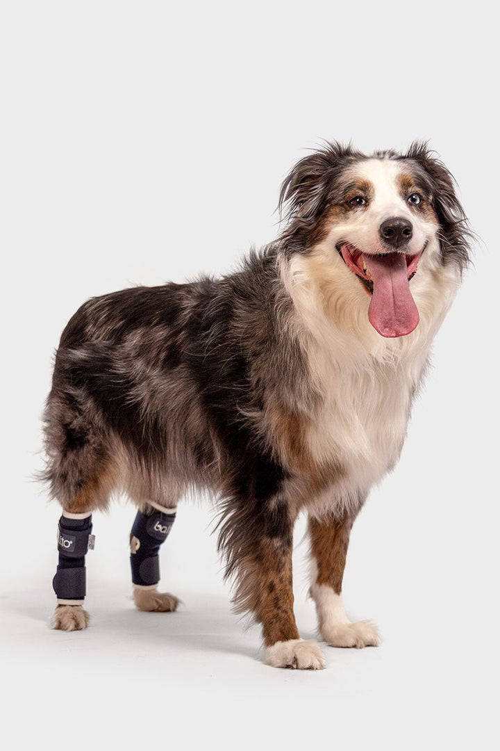 Dual Hock Brace