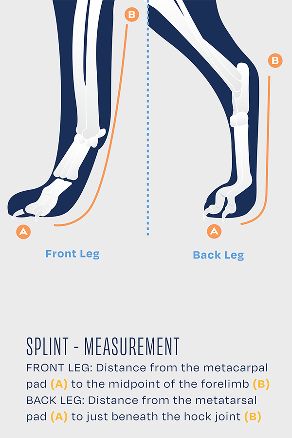 Splint – Carpal/Tarsal Laxity Splint