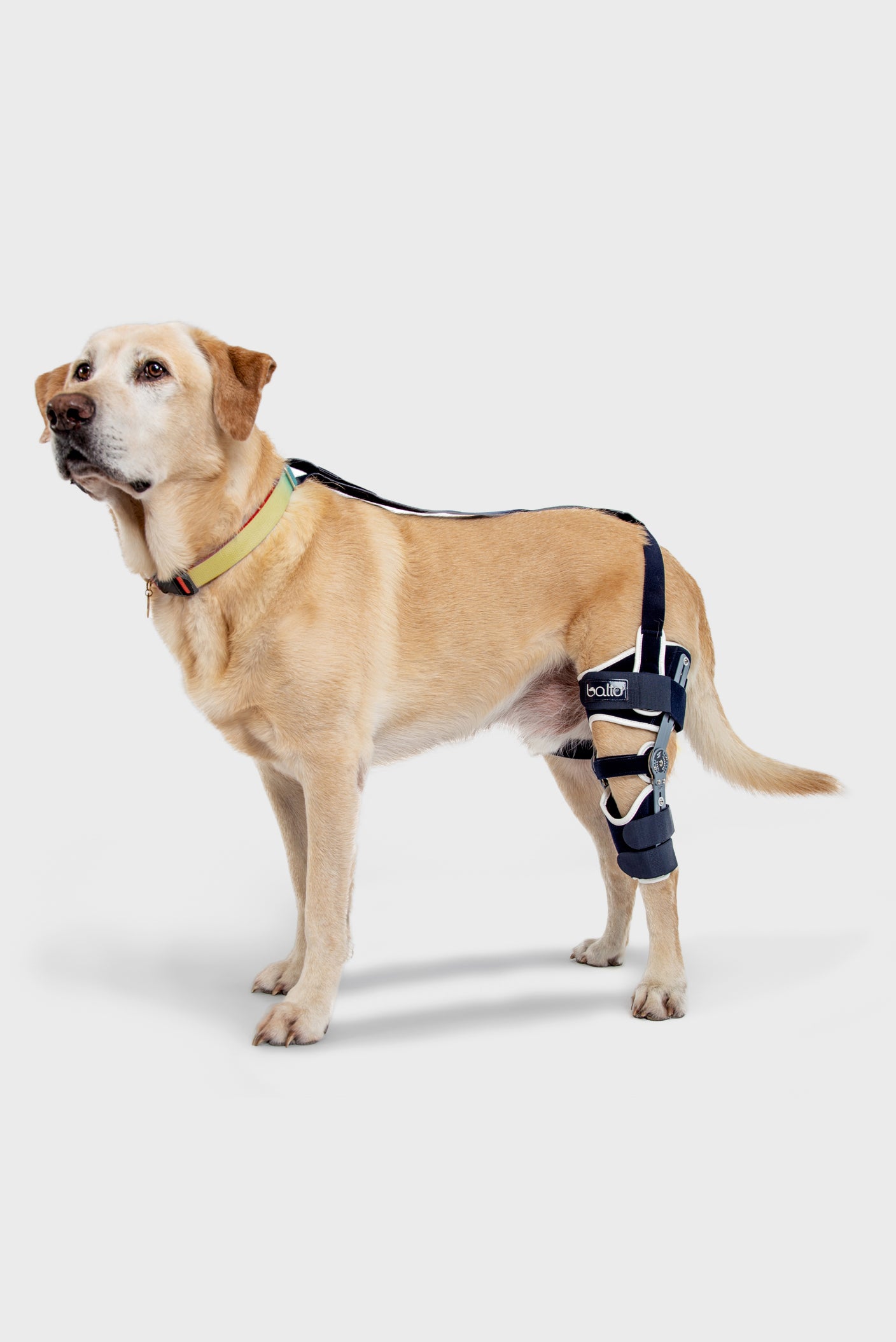 Balto® Ligatek – Adjustable Hinged Knee Brace