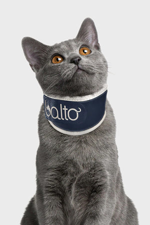 Neck collar cat deals