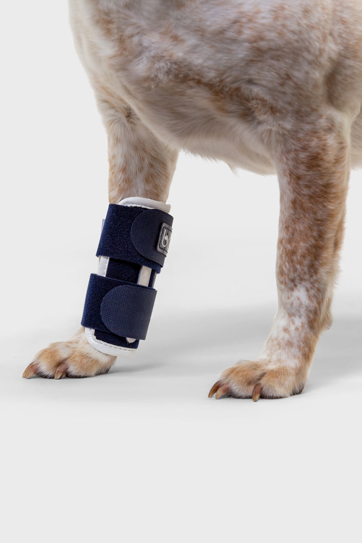 Compression bandage 2024 for dogs