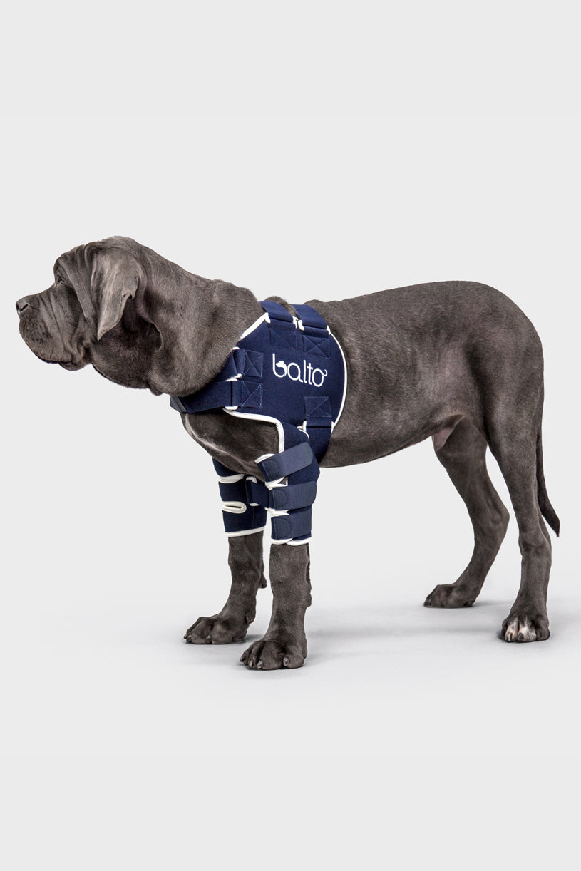 Canine Double Shoulder Compression Brace