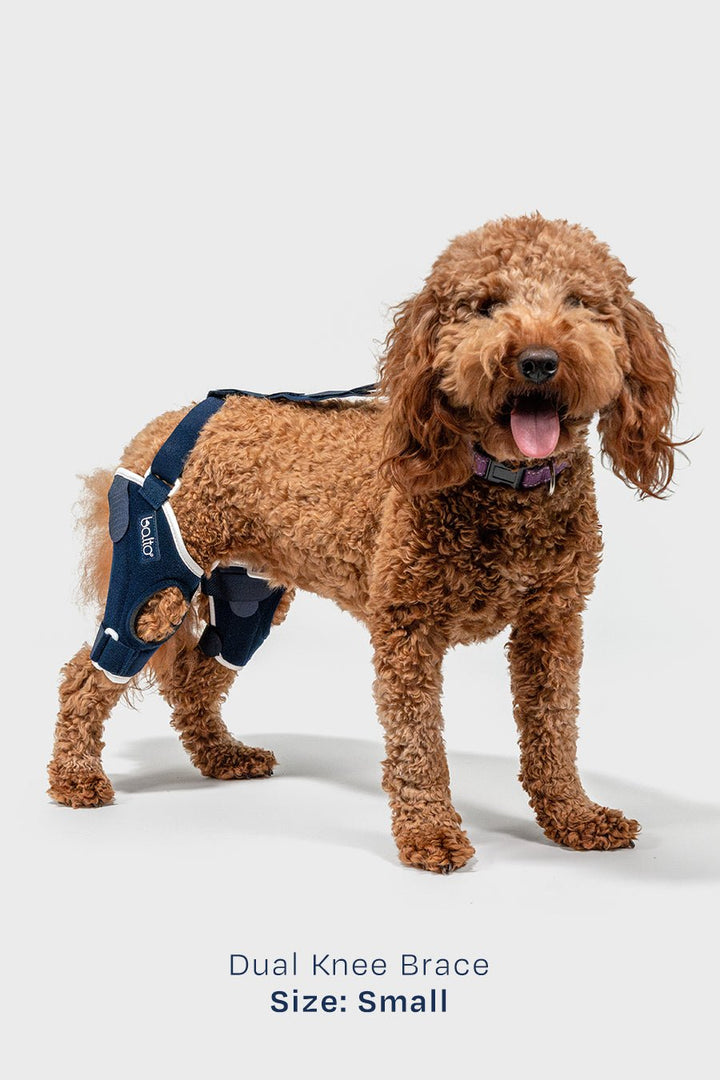 Dual Knee Brace