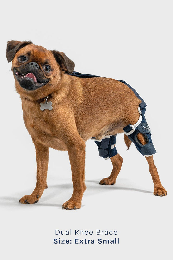 Dual Knee Brace
