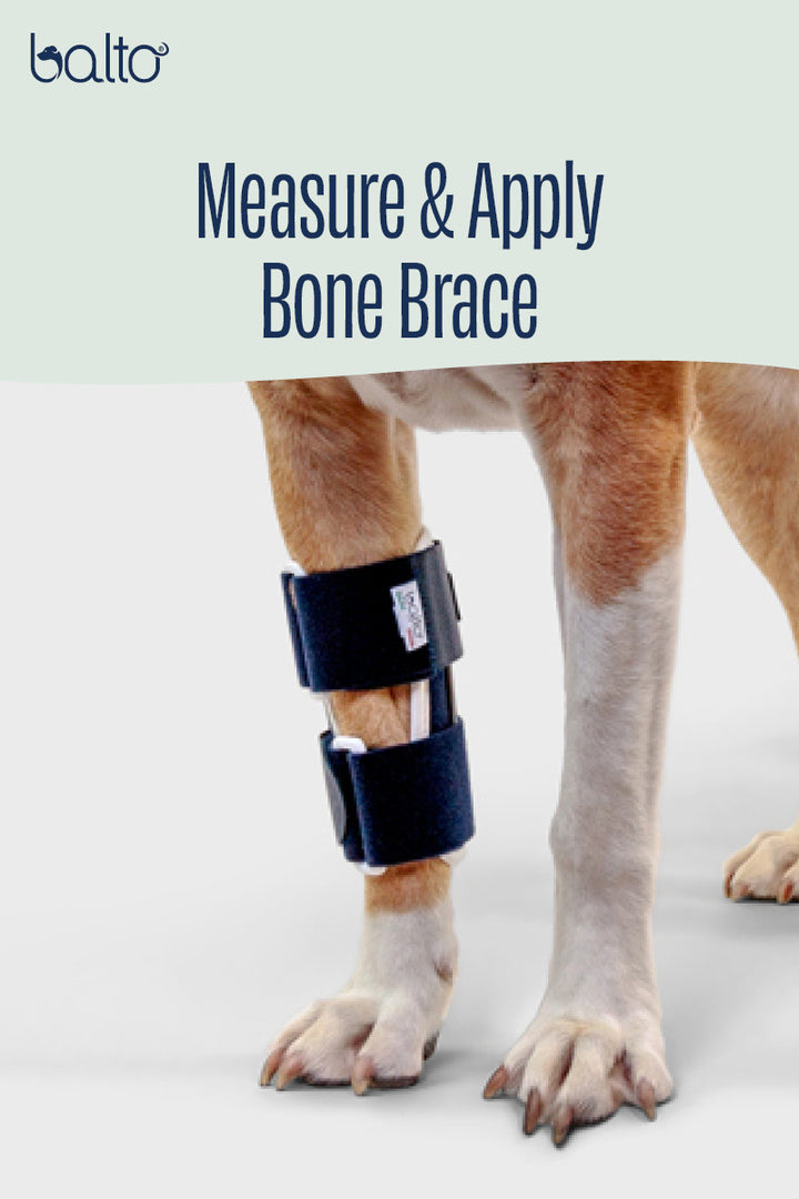 Bone – Fracture Brace