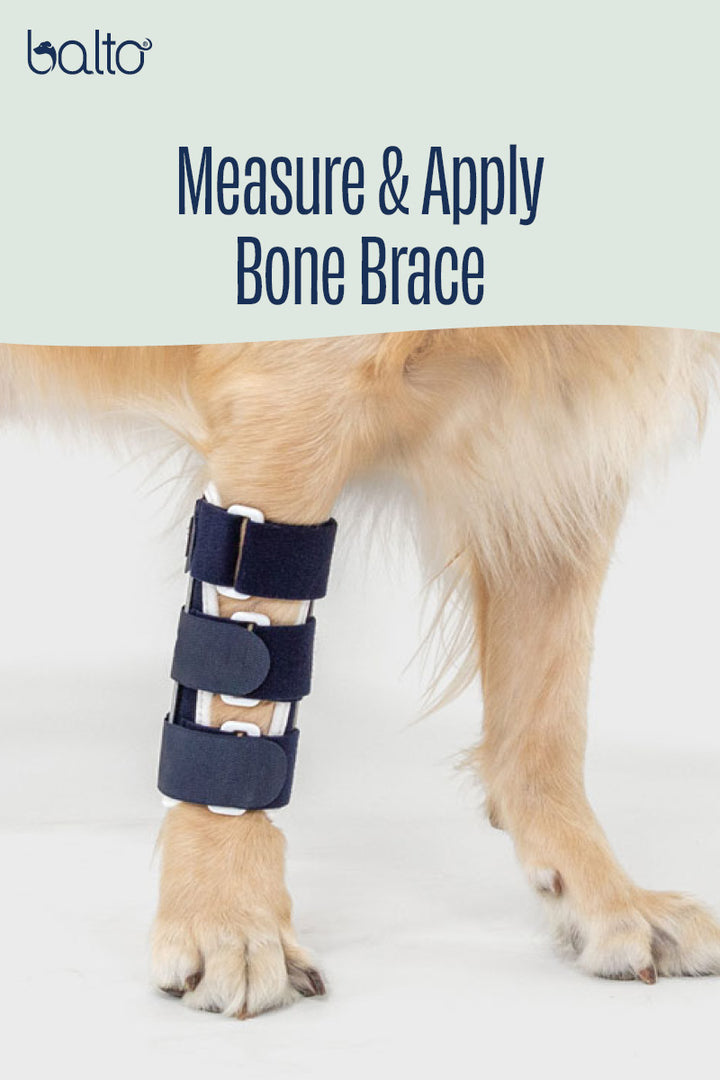 Bone – Fracture Brace