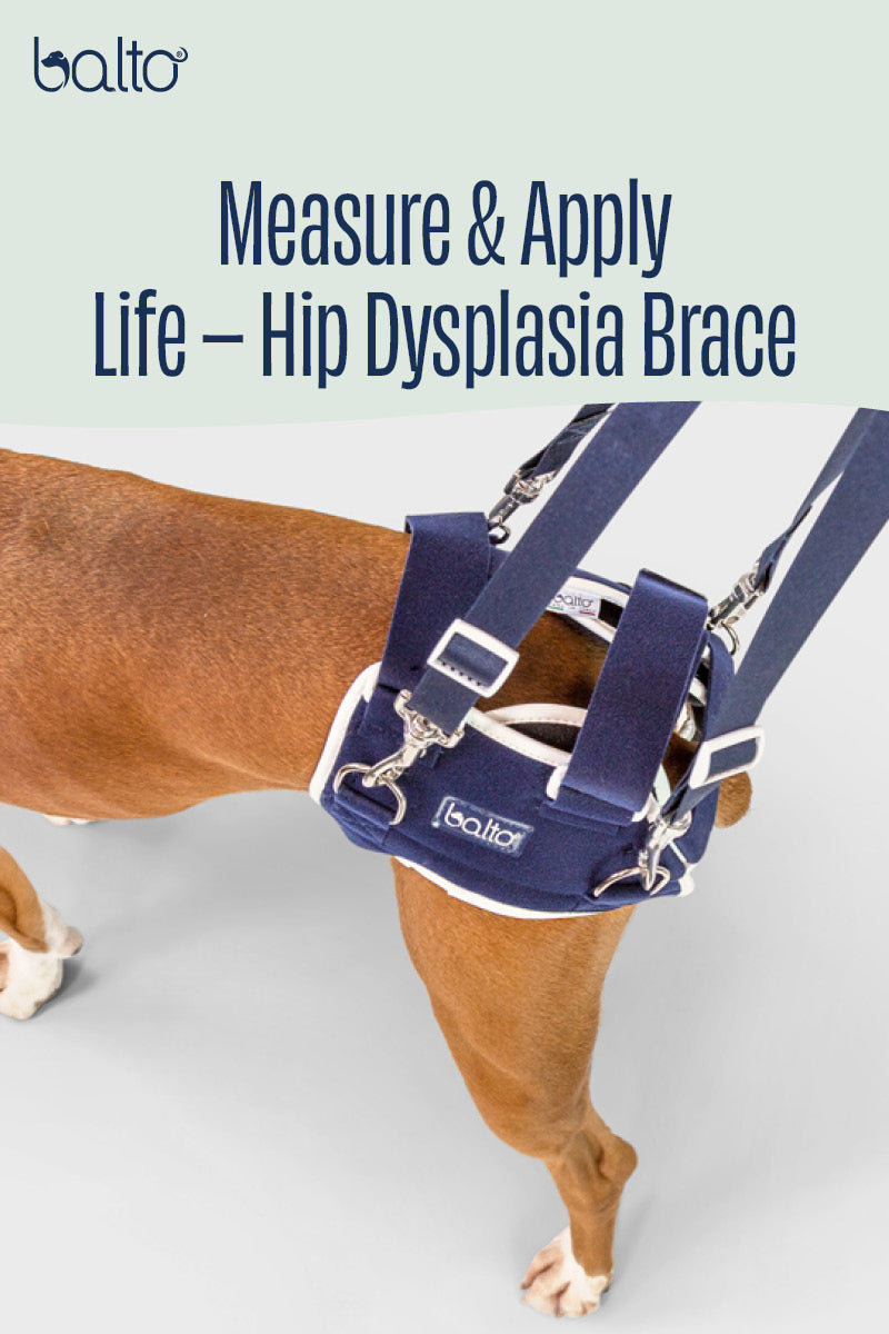 Life – Hip Dysplasia Brace