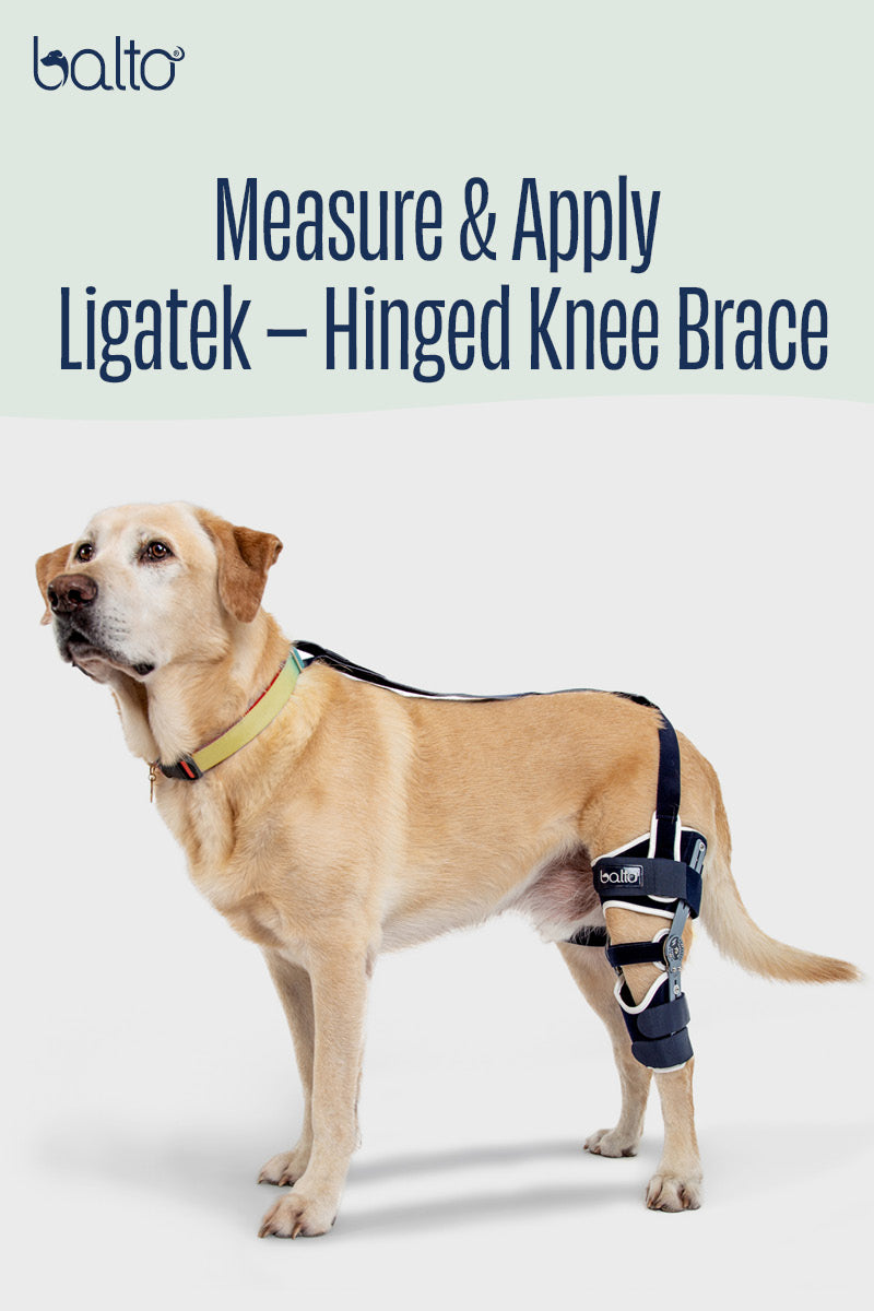 Ligatek – Adjustable Hinged Knee Brace