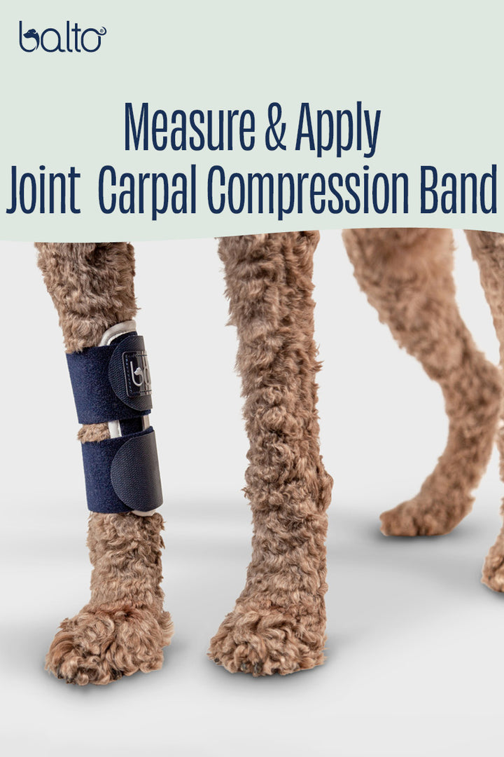 Joint – Carpal Compression Band