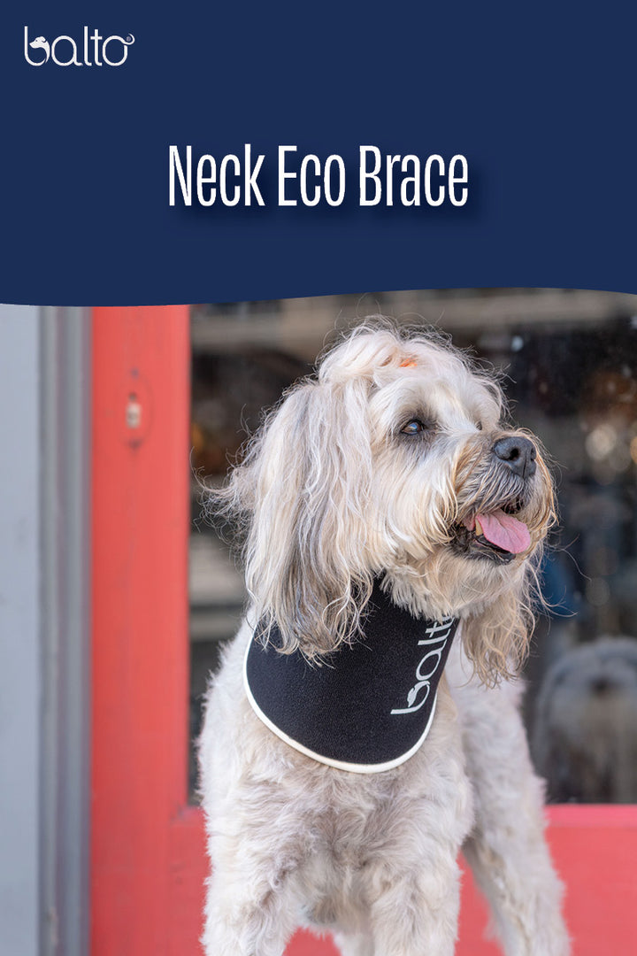 balto neck eco brace overview video