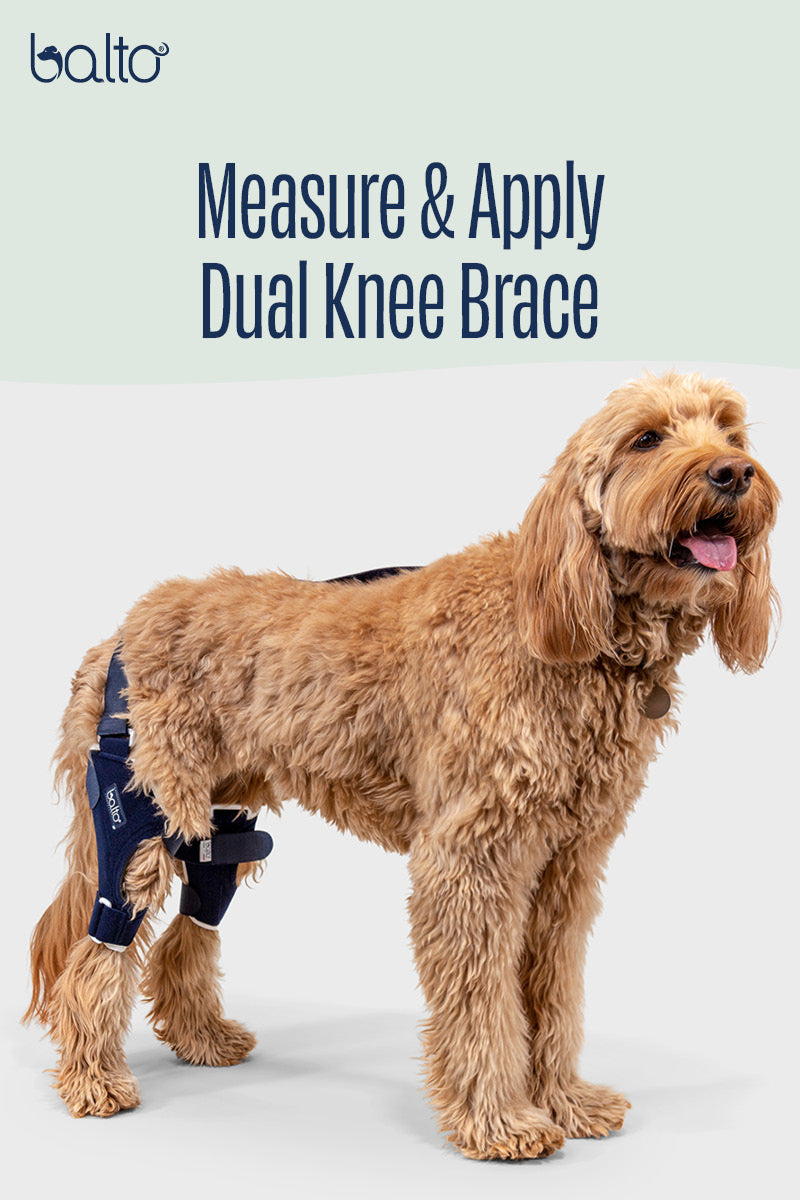 how to apply dual knee brace