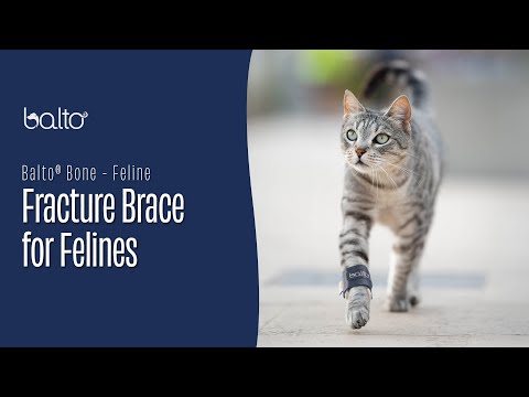 Balto Bone Cat – Fracture Brace for Felines
