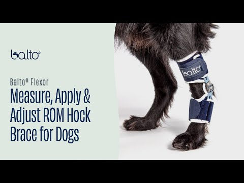 Flexor - Adjustable Hock Brace