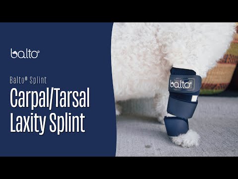 Balto Splint – Carpal/Tarsal Laxity Splint