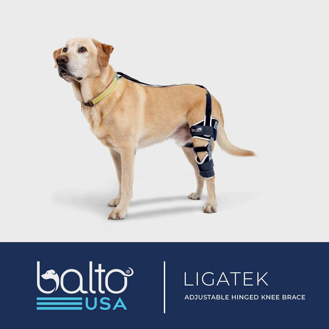 instructional video of ligatek balto brace