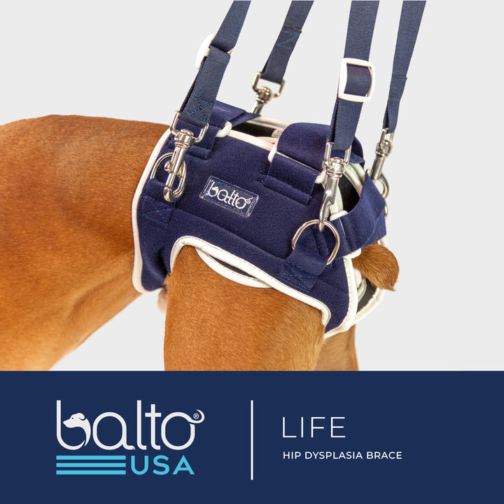 balto life brace tutorial overview video