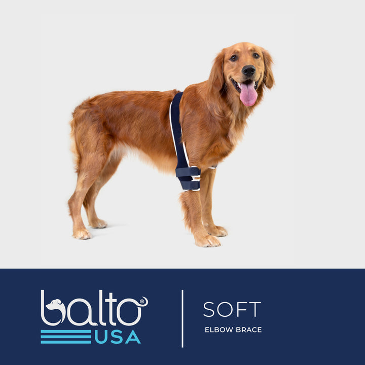 baltousa soft brace for canine dog video tutorial and overview