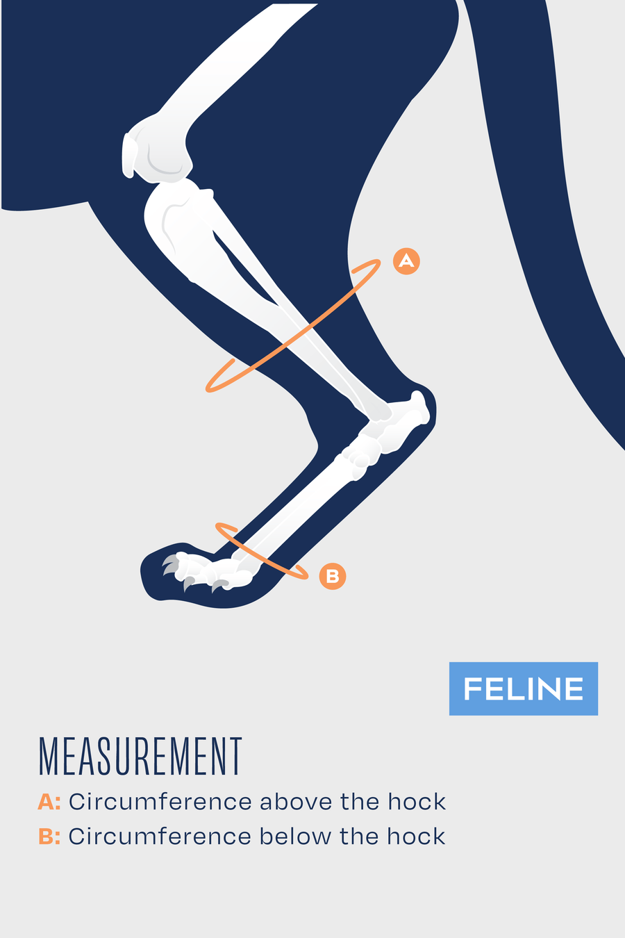 size guide for balto hock feline measurement guide