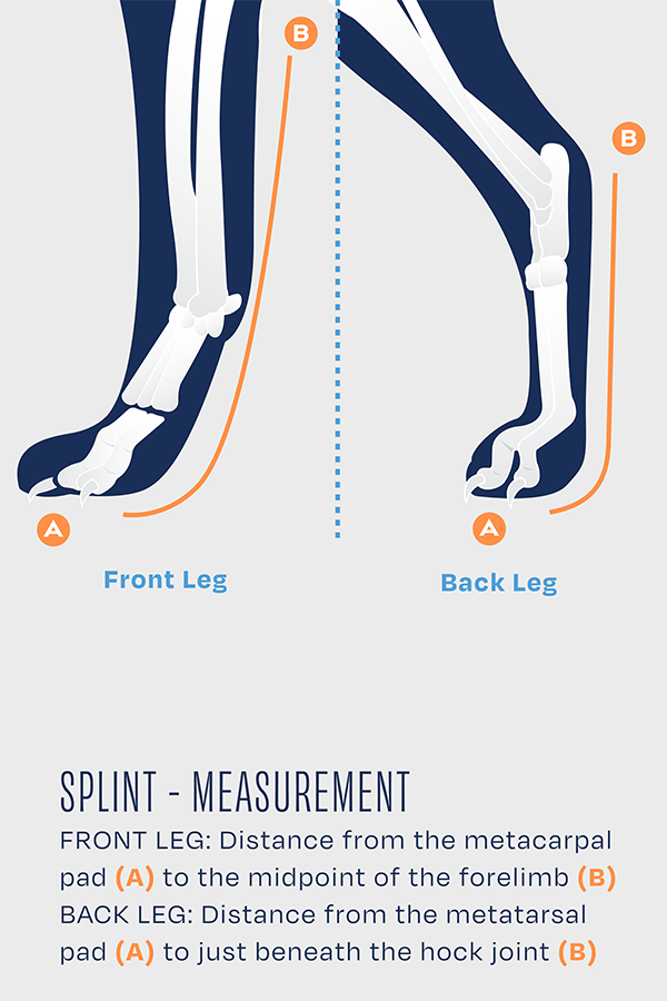 size guide for balto splint measurement guide