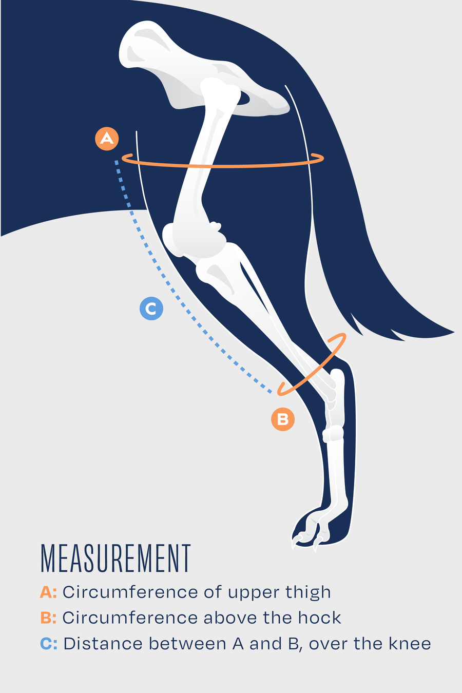 size guide for balto jump measurement guide