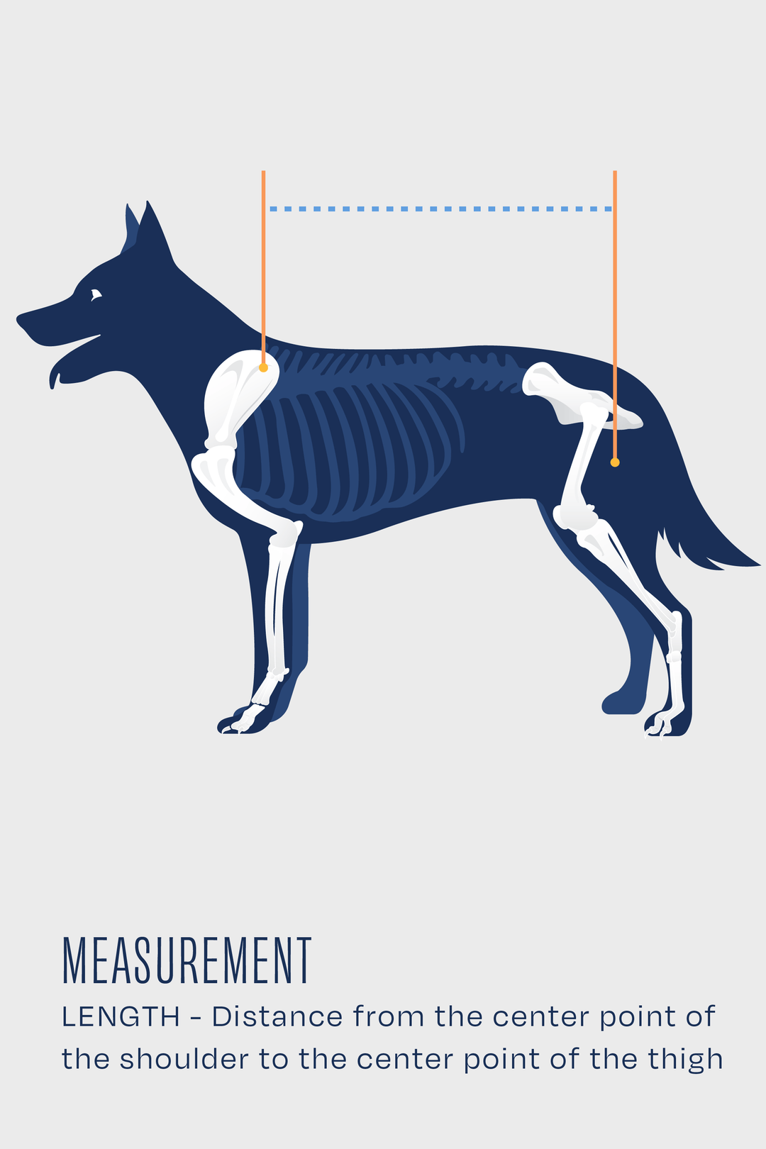 size guide for balto body lift measurement guide