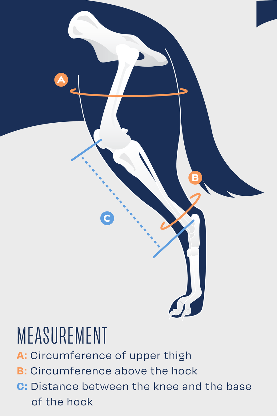 size guide for balto ligatek measurement guide