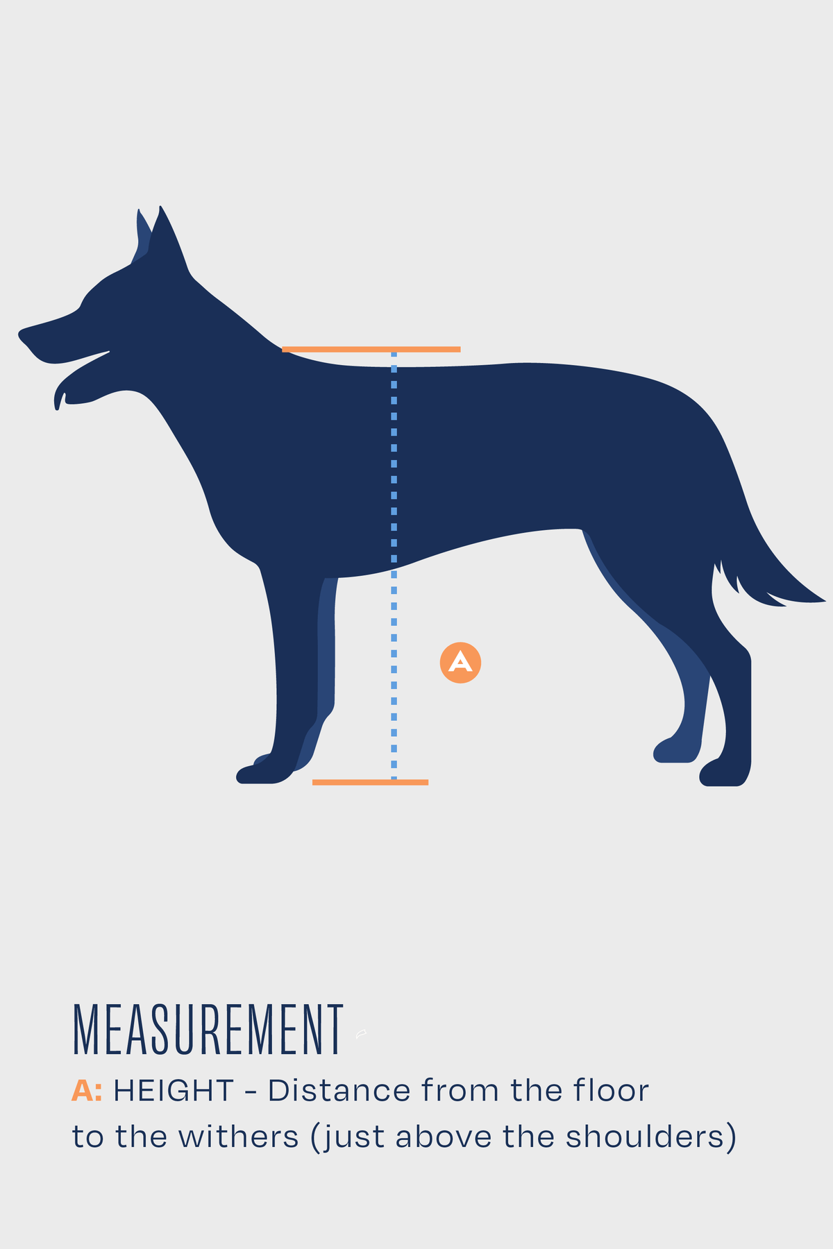 size guide for balto lux measurement guide