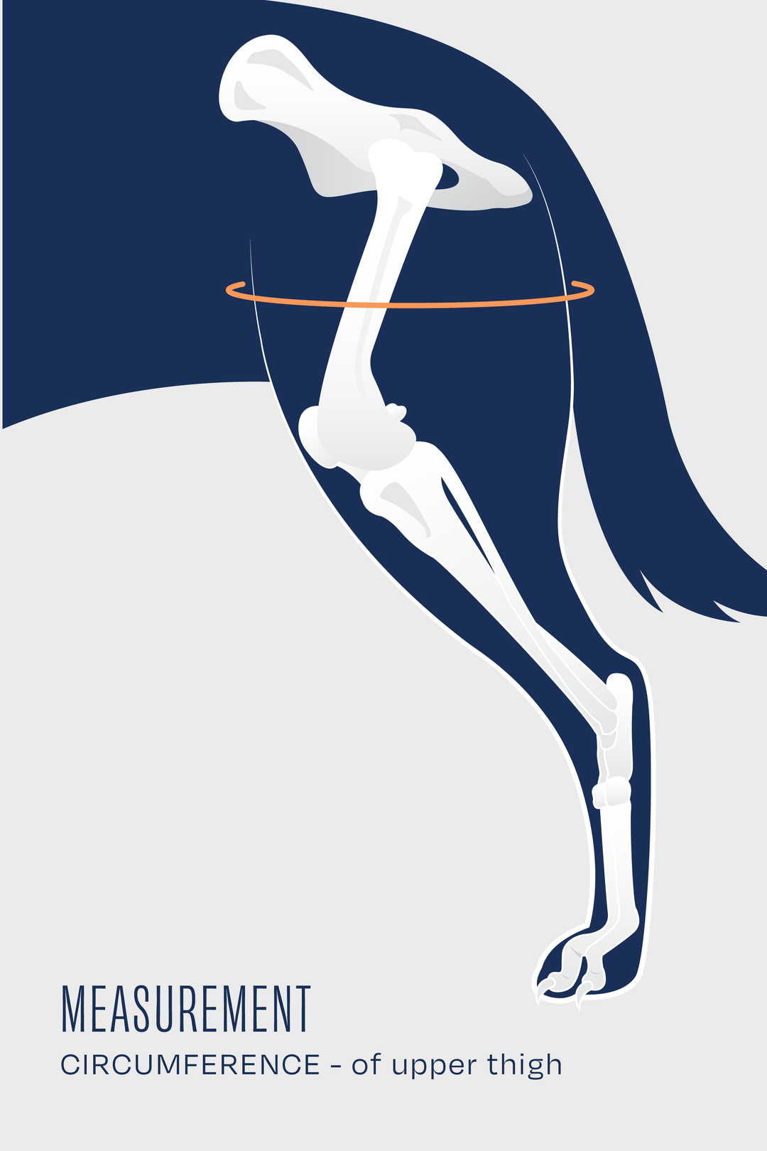 size guide for balto up measurement guide