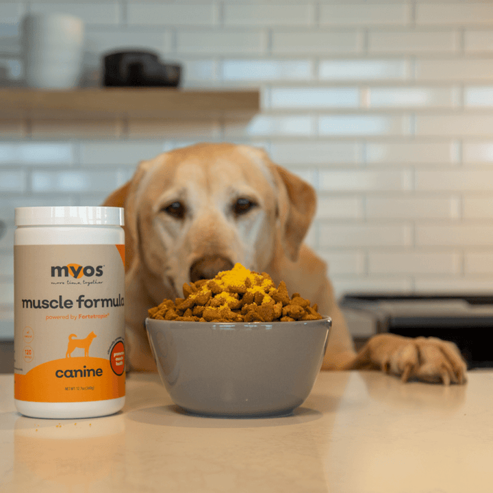 myos supplements for canines with dog in view